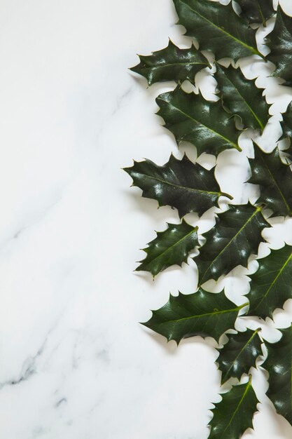 Diseño navideño hecho con hojas festivas de acebo sobre un fondo de mármol blanco