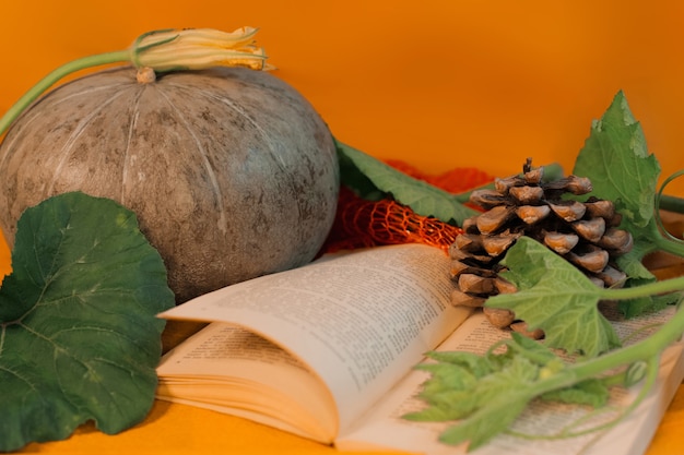 Diseño de otoño con calabazas, hojas de un libro y un bache.