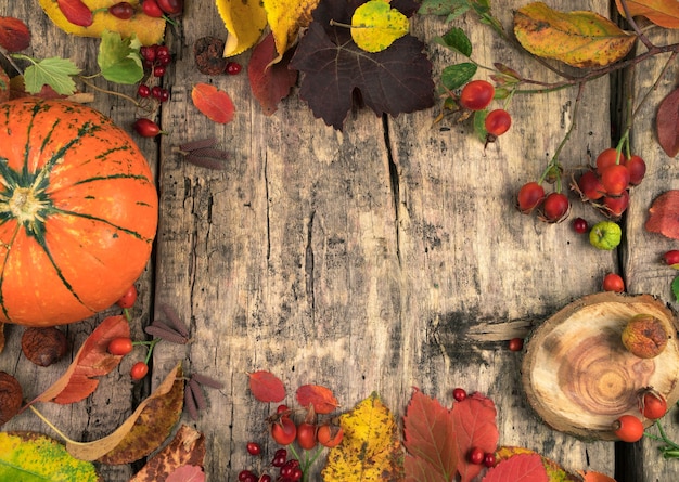 Diseño de otoño festivo de bayas de calabaza y hojas sobre una mesa de madera natural.