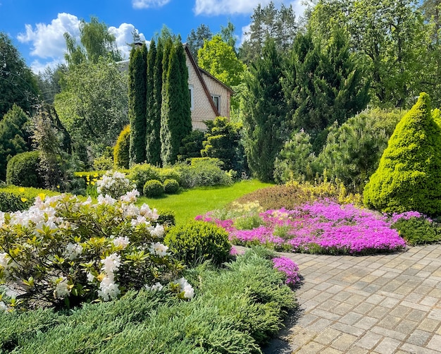 Diseño de paisaje de jardín con plantas con flores, césped verde, árboles de hoja perenne ornamentales, concepto de jardinería