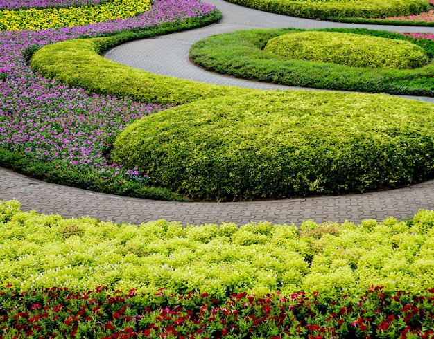 Diseño de paisaje de lujo del jardín tropical. Hermosa vista del paisaje tropical