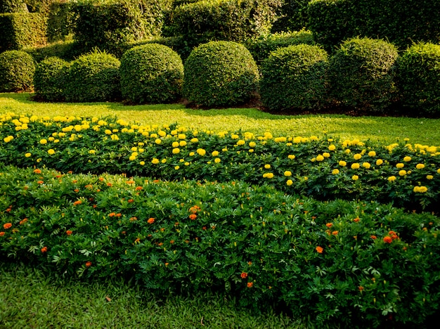 Diseño de paisaje de lujo del jardín tropical. Hermosa vista del paisaje tropical