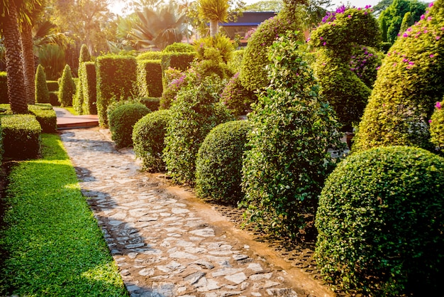 Diseño de paisaje de lujo del jardín tropical. Hermosa vista del paisaje tropical