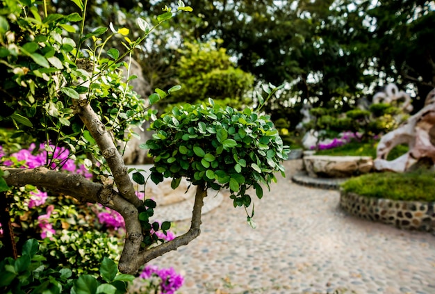 Foto diseño de paisaje de lujo del jardín tropical.