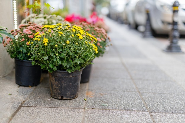 Diseño de paisaje urbano en la calle de la pequeña ciudad mediterránea