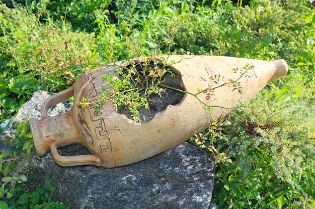 Diseño de paisajes en el jardín con ánfora y flores Elementos decorativos Detalle creativo en el jardí de verano