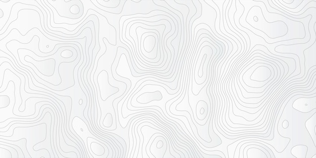 Diseño de papel tapiz de fondo de línea abstracta negra de lujo para envases de tela web geográfica