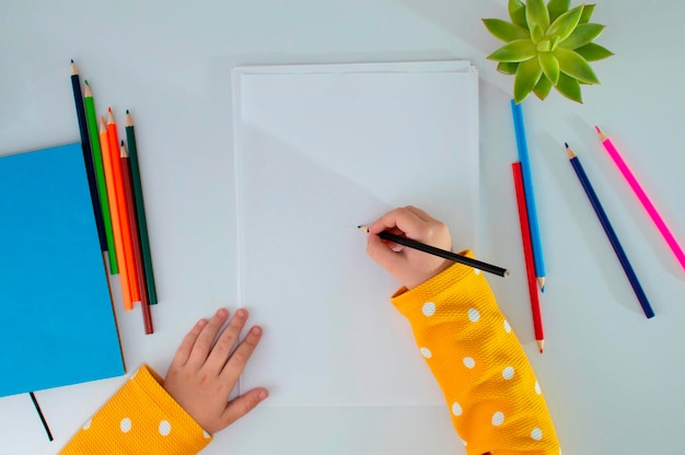 Diseño Patrón de cuaderno de bocetos Hay una hoja blanca con lápices de colores sobre la mesa Conjunto multicolor de lápices vista superior Un conjunto para la creatividad para pasatiempos