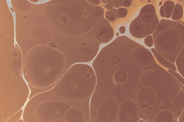 Diseño de patrones de superficie con efecto de mármol de Ebru para la impresión