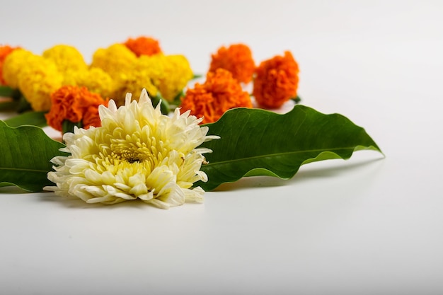 Foto diseño de rangoli de flor de caléndula sobre fondo blanco.