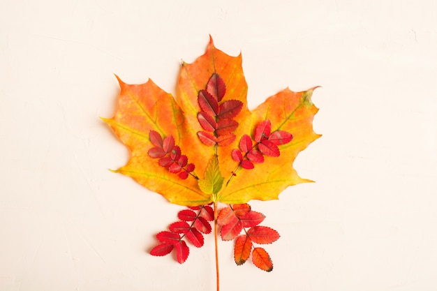 Diseño de textura de hojas de otoño sobre fondo rosa pastel