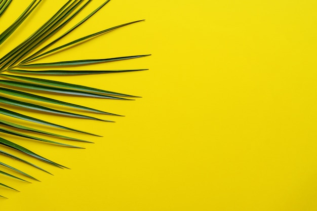 Diseño tropical de estilo minimalista. Hoja de palma sobre fondo amarillo. Copie espacio para su texto