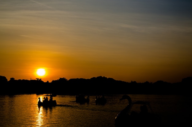 disfrutar con bote de pedales cisne al atardecer