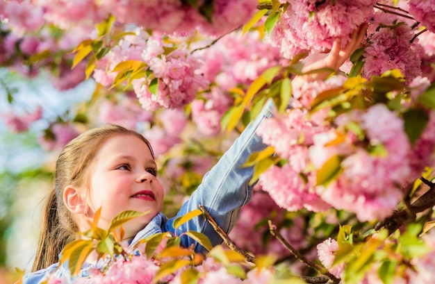 Disfrute del olor de la flor tierna día soleado Concepto de flor de Sakura Hermosa belleza de flor Fondo de flor de cerezo de niña Árbol de Sakura floreciendo Parque y jardín Niña pequeña en flor de primavera