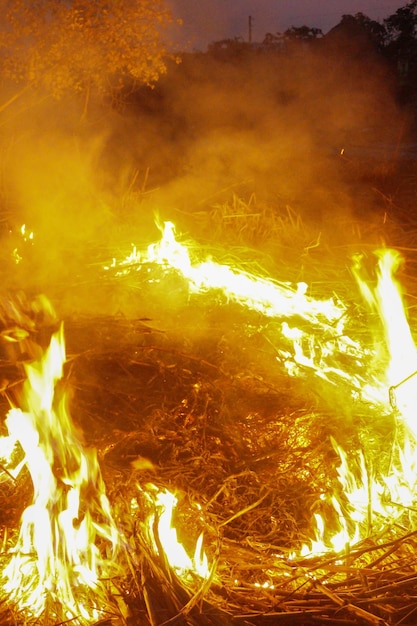 Foto dispara la línea de fuego creada por llamas excelentes en una superficie de retrato partículas voladoras que brillan intensamente de color naranja ardiente sobre fondo negro en 4k