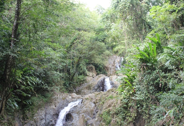 Disparo de cascadas de Argyle en el Caribe, Roxborough, Trinidad y Tobago