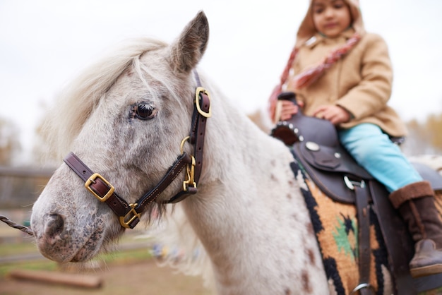 Disparo horizontal de la niña pasar tiempo en la granja de caballos sentado en un hermoso caballo pony