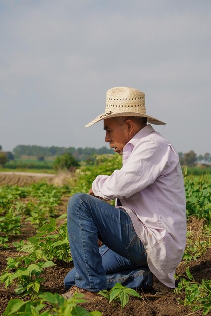 Disparo vertical de un agricultor hispano en su plantación en México