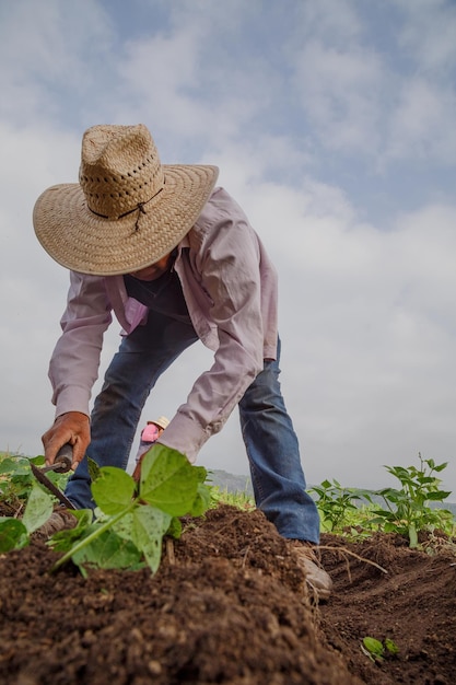 Disparo vertical de un agricultor hispano en su plantación en México