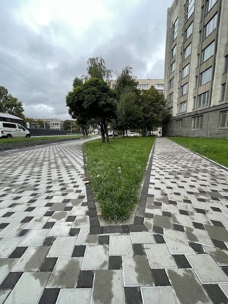 Disparo vertical de césped verde con césped y árboles cerca del edificio gris en el centro de la ciudad