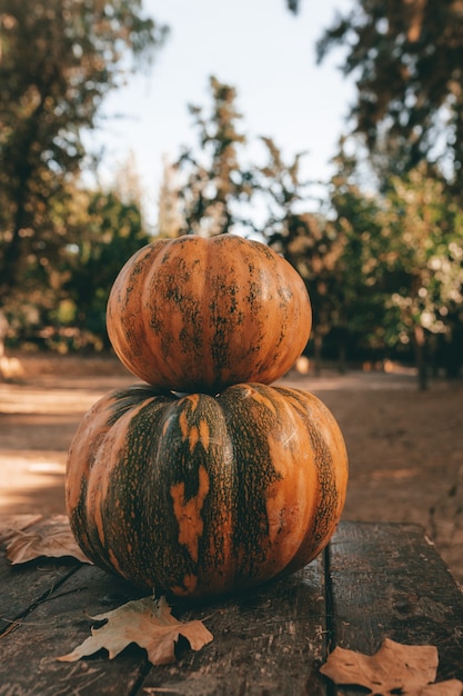 Foto un disparo vertical de dos calabazas apiladas sobre una mesa en un parque de otoño