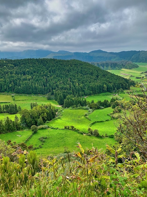 Disparo vertical del fascinante paisaje de montañas boscosas