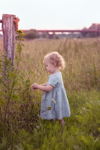 Disparo vertical de un lindo niño jugando con las plantas en un campo cubierto de hierba