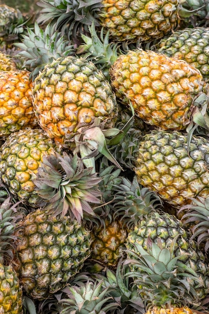 Disparo vertical de un montón de piña fresca orgánica en el mercado de frutas