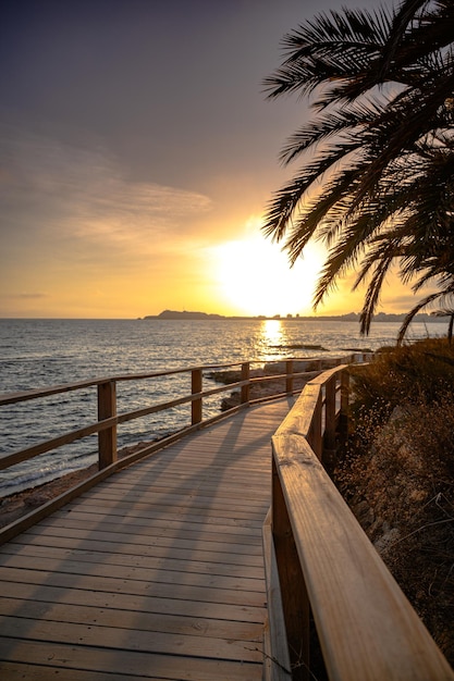 Disparo vertical de un paseo marítimo rodeado de palmeras en una playa al atardecer