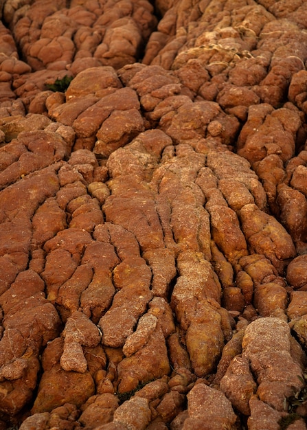 Disparo vertical de una superficie rocosa en un paisaje natural