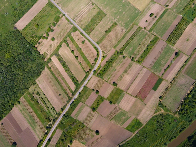 Disparo de vista aérea desde un dron directamente sobre los campos