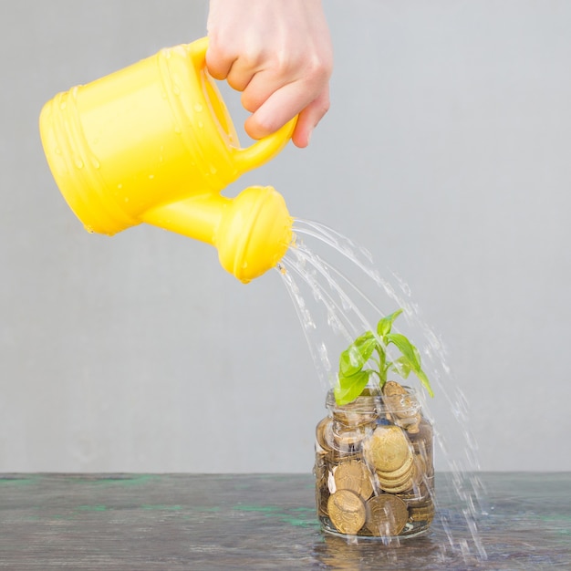 Dispensador de agua amarilla está regando el árbol del dinero sobre fondo gris