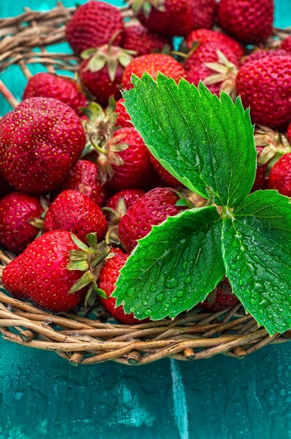 Dispersado con una cesta de mimbre de fresas sobre un fondo turquesa