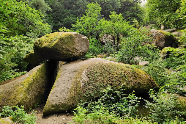 Disposición de cantos rodados en forma de puerta en el campo de bloques del bosque de Huelgoat en Bretaña