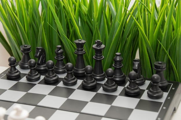 La disposición correcta del ajedrez contra el fondo de la hierba verde Torneos de ajedrez de verano Publicidad de ajedres sobre un fondo verde