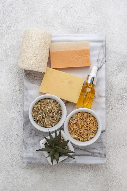 Foto disposición de diferentes plantas especiales con gotero de aceite y jabones.