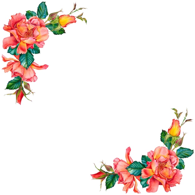 Disposición de esquinas de vibrantes rosas amarillas brotes y hojas y dibujado acuarela ilustración de marco de flores en fondo aislado listo para adornar saludos invitaciones bodas cumpleaños