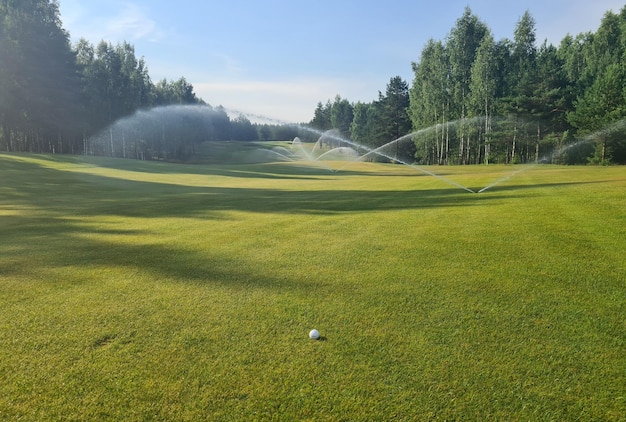 Dispositivo regado campo de golf de hierba regada y pelota de golf blanca