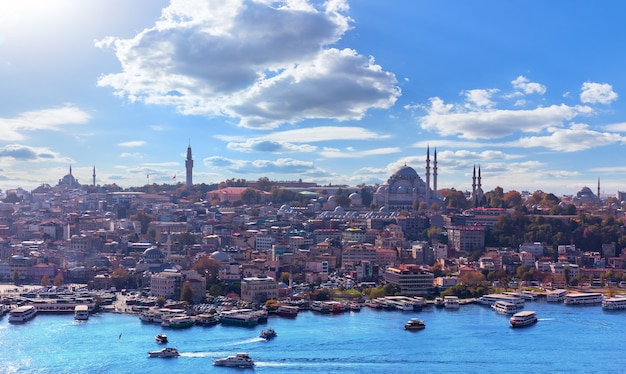 Distrito de Fatih de Estambul, vista desde la Torre de Galata.