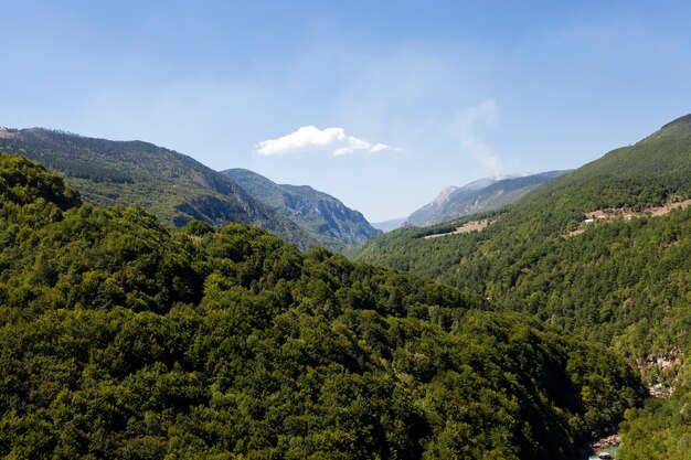 Distrito de montaña: las montañas cubiertas de varios árboles, otras plantas.