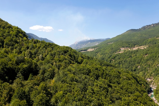 Distrito de montaña: las montañas cubiertas de varios árboles, otras plantas.