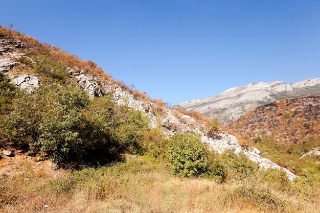 Foto el distrito montañoso: las montañas que se encuentran en el territorio de. verano del año