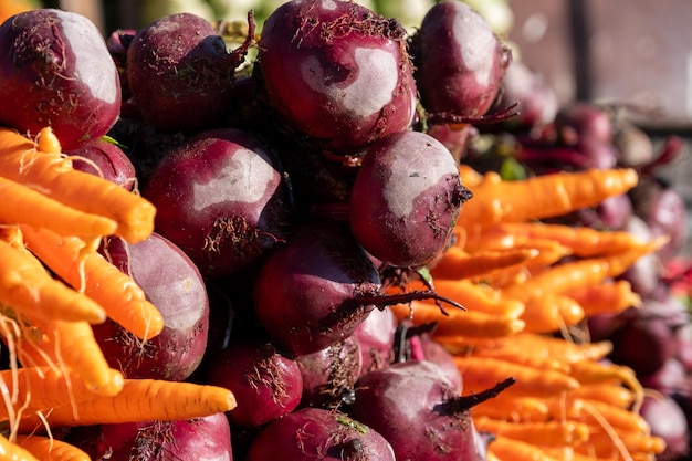 Una diversa selección de verduras de raíz recién cosechadas meticulosamente dispuestas y listas para la compra