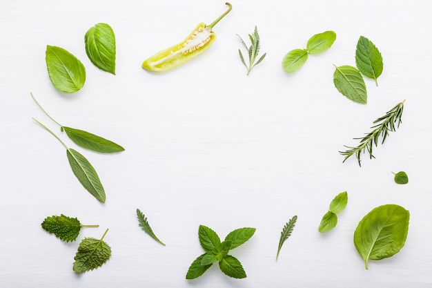 Diversas hierbas frescas para cocinar ingrediens en el fondo de madera blanco con endecha plana.