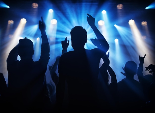 Diversión en el concierto Silueta de una multitud de adultos jóvenes en un concierto