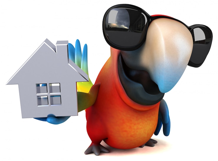 Foto divertida animación de loros