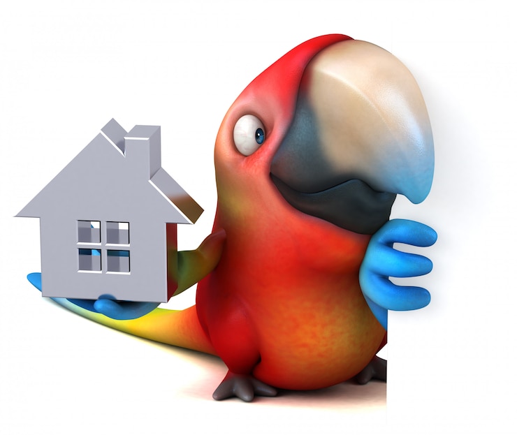 Foto divertida animación de loros