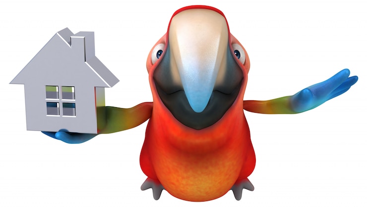 Foto divertida animación de loros