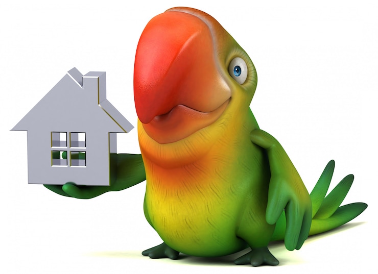 Foto divertida animación de loros