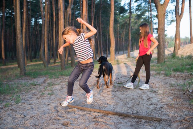 Divertida niña linda saltando sobre una gran rama seca vieja con una amplia sonrisa en su rostro en un denso bosque de pinos en una cálida y soleada mañana brillante de verano, y la hermana con el perro está de pie en el fondo